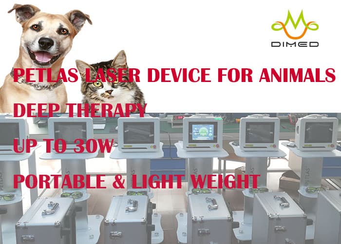 Veterinary Laser Therapy device_ PETLAS